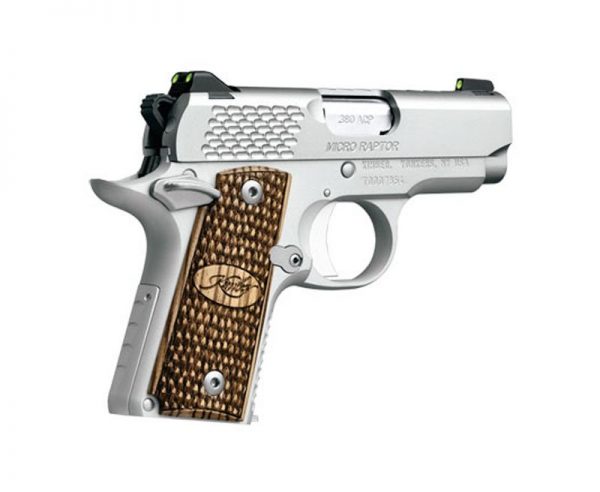 Kimber Micro Raptor Stainless .380 ACP 2.75-inch 6Rd Night Sights