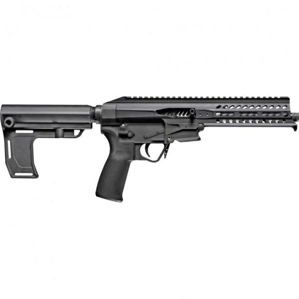 Patriot Ordnance Factory Rebel .22 LR 8" Barrel 10-Rounds