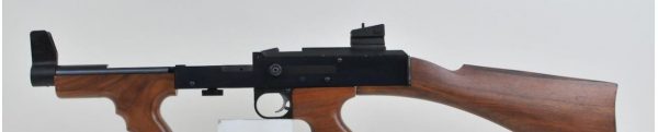 AMERICAN 180, 9" BARREL 22LR - Image 3