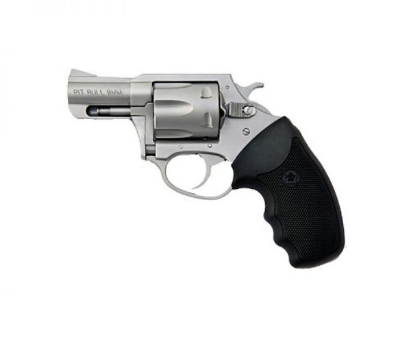 Charter Arms Pitbull 9mm 2 inch Stainless 5rd