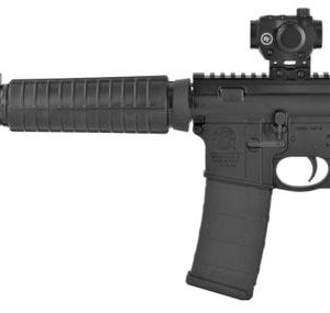 Smith and Wesson M&P 15 Sport II 5.56/.223 Rem 16″ Barrel 30-Rounds w/ Red Dot
